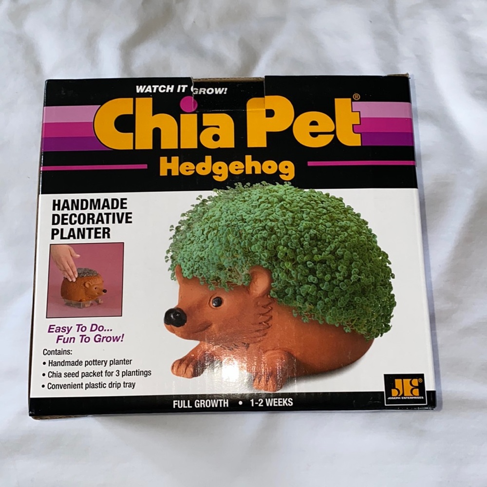 Chia Pet Hedgehog